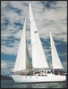 Cairns Reef Diving Tours - Overnight